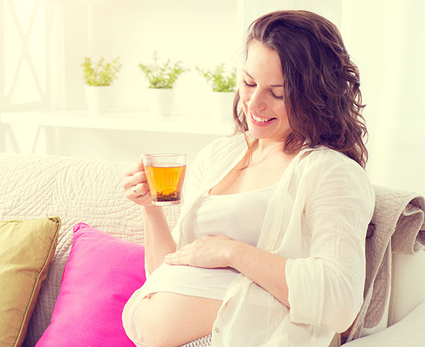 Pregnant  woman sitting on a sofa and drinking herbal tea